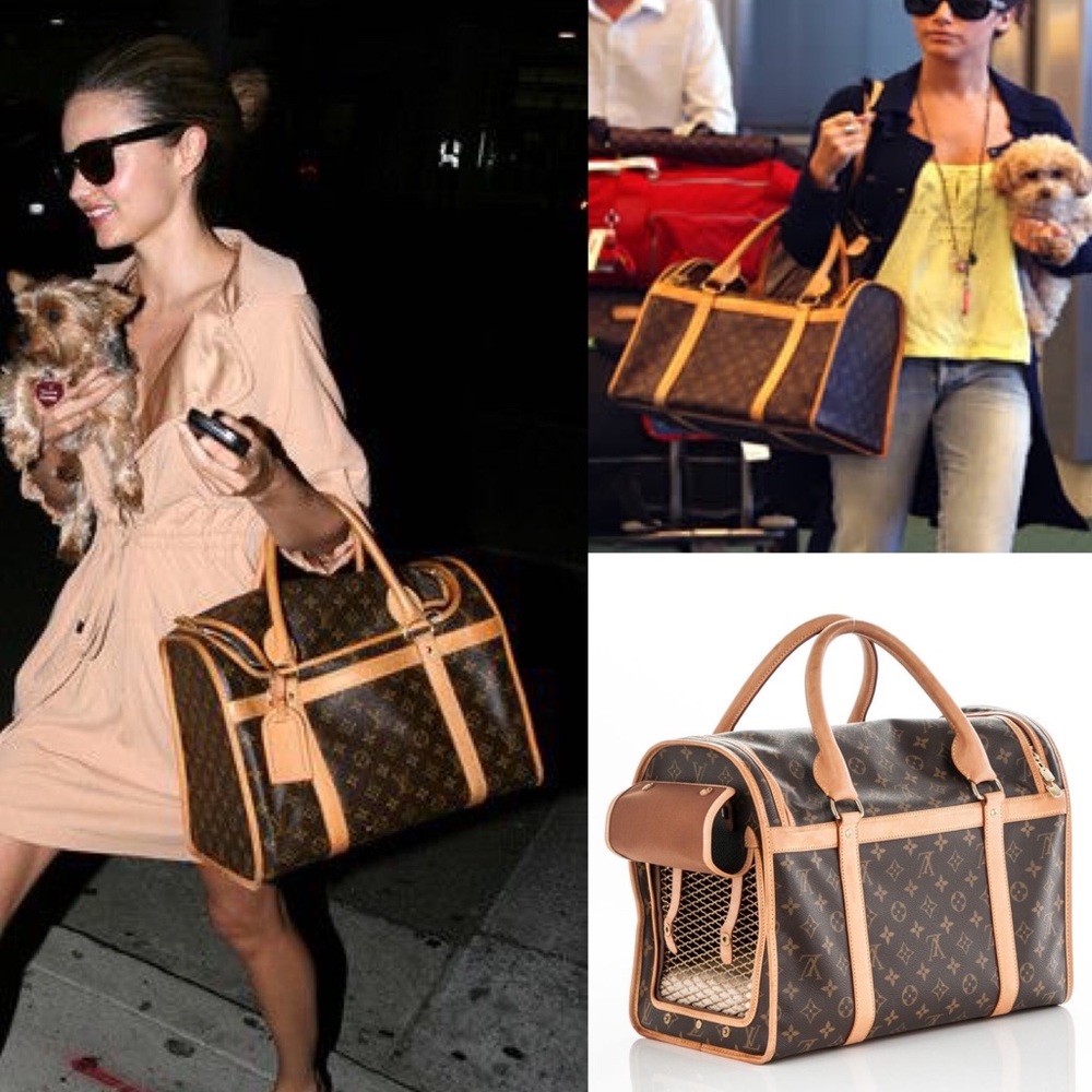 💯 AUTHENTIC ✨ LOUIS VUITTON Dog carrier bag